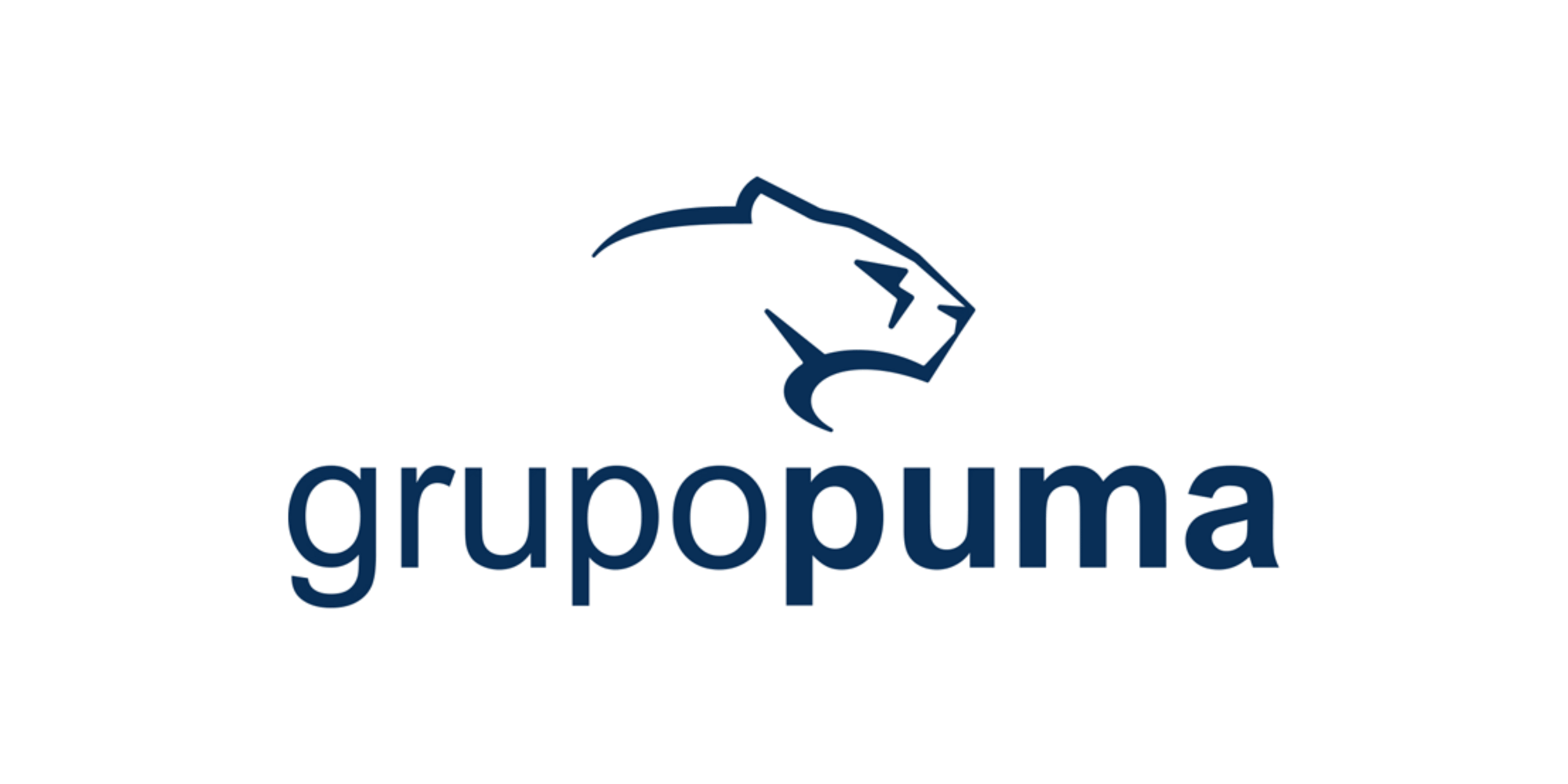 grupopuma